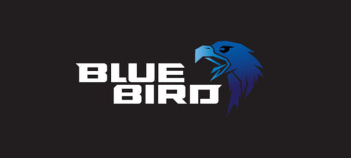 BLUEBIRD